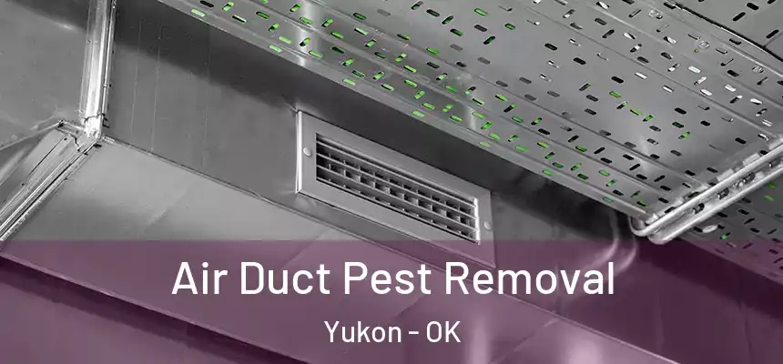  Air Duct Pest Removal Yukon - OK