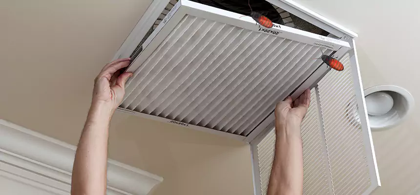 Preventive Cockroach-Proofing for Ducts in Yukon