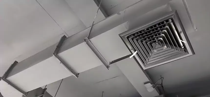 Our Pest Removal From Ducts Services in Yukon, OK