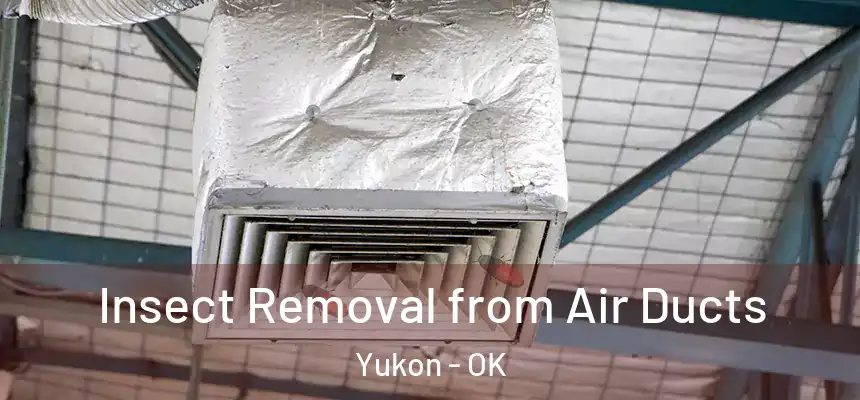  Insect Removal from Air Ducts Yukon - OK