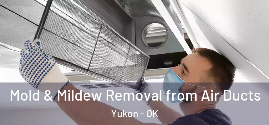  Mold & Mildew Removal from Air Ducts Yukon - OK