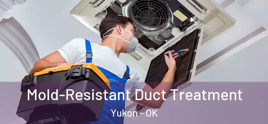 Mold-Resistant Duct Treatment Yukon - OK