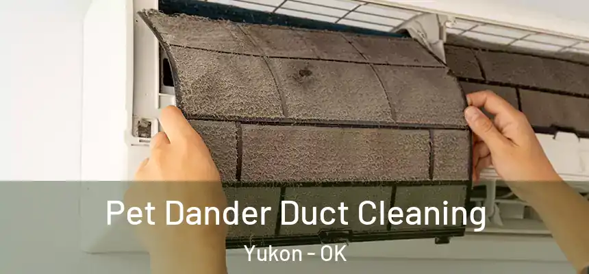  Pet Dander Duct Cleaning Yukon - OK
