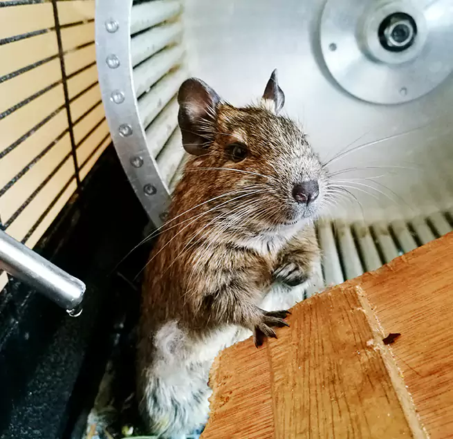 Why Homeowners & Businesses Trust Us Yukon, OK?